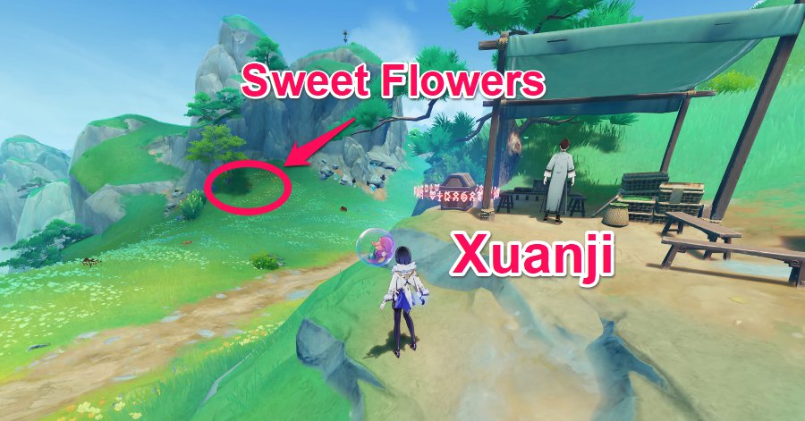 Genshin - Sweet Flower location