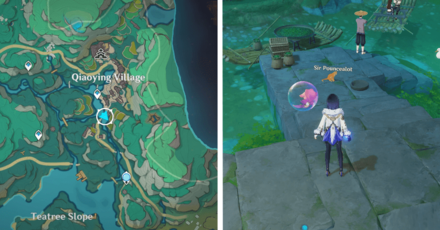 Genshin - where to use Fish Seized From a Pelican