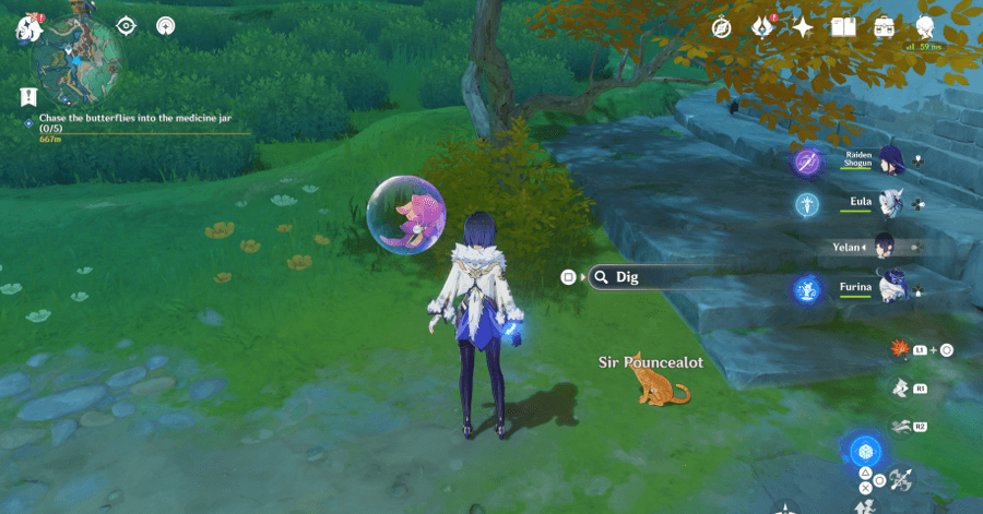 Genshin - Sir Pouncealot treasure location