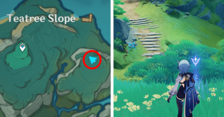 Genshin - Viewpoint in Teatree Slope