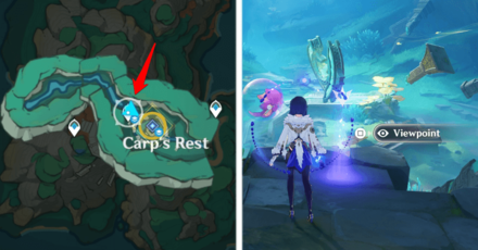 Genshin - Viewpoint in Carp