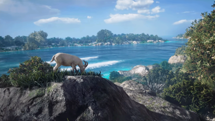 Skull and Bones - Graphics Quality to Quality Setting