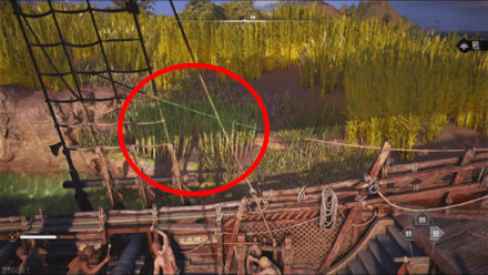 Skull and Bones - Jute Cluster