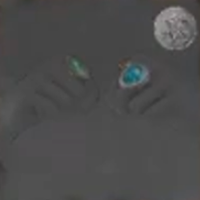 Skull and Bones - Coxswain Rings