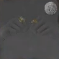 Skull and Bones - Rempah Raider Ring