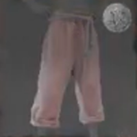 Skull and Bones - Rempah Raider Pants