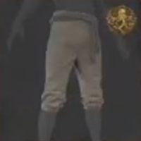 Skull and Bones - Chantilly Breeches