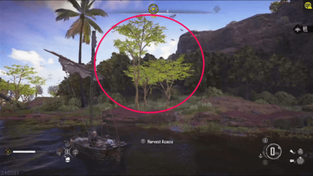 Skull and Bones - Respawning Acacia Tree