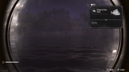 Skull and Bones - Fish Spotted with Spyglass