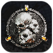 Skull and Bones - Infamy Icon