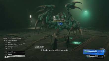 Materia Guardian Boss Figh