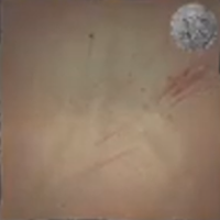 Skull and Bones - Cicatrix