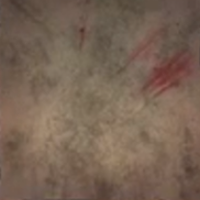 Skull and Bones - Wear and Tear