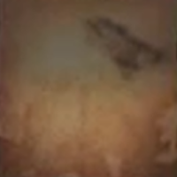 Skull and Bones - Ship-Scarred