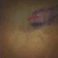 Skull and Bones - Blunt Force Trauma