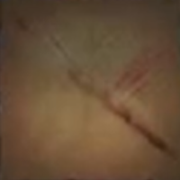 Skull and Bones - Old Wounds