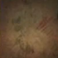 Skull and Bones - Rough and Rowdy