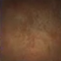 Skull and Bones - Shipwrecked