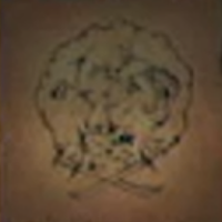 Skull and Bones - Waters of Paradise