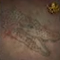 Skull and Bones - Black Mamba