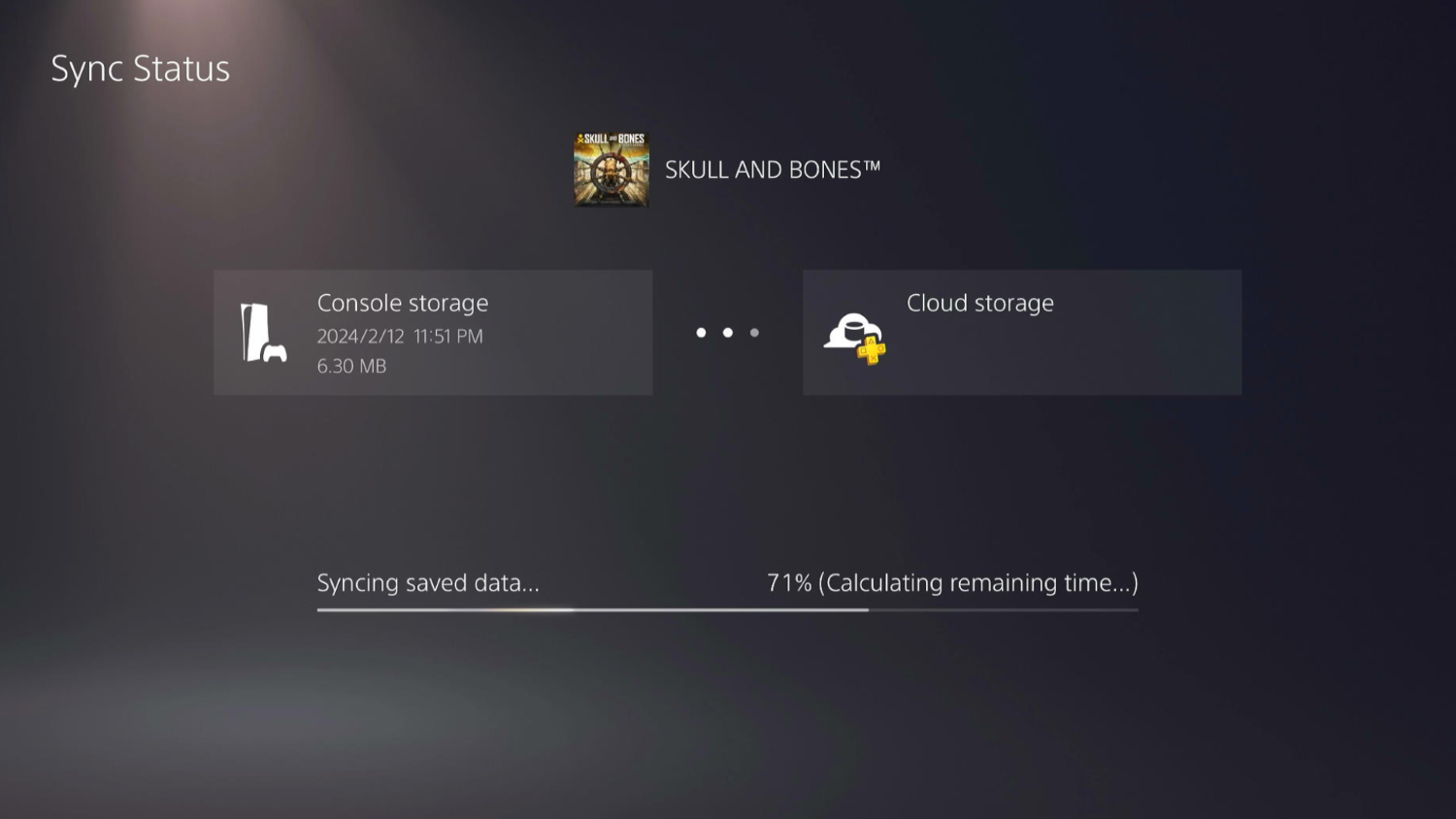 Skull and Bones Sync Data