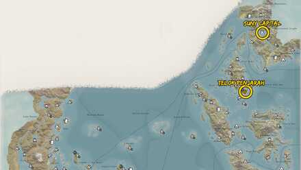 Suny Capital Location