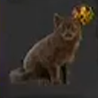 Skull and Bones - Bravo Neko