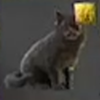 Skull and Bones - "First Mate" Whiskers