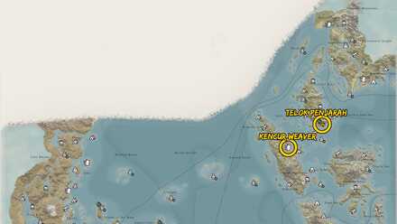 South Suny Weaver Location