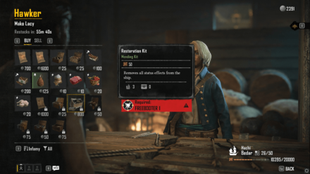 Skull and Bones - Restoration Kit Vendor