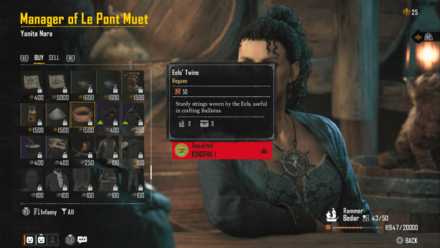 Skull and Bones - The Helm