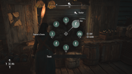 Skull and Bones - Thank Captain Emote