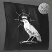 Skull and Bones - The Crowned Crow