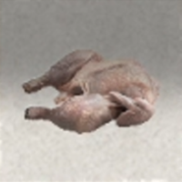Raw Chicken