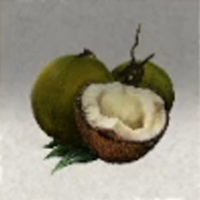 Coconut