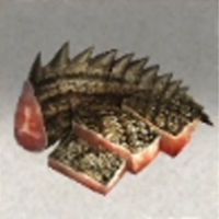 Prime Crocodile Meat