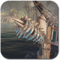 Skull and Bones - Safeguard