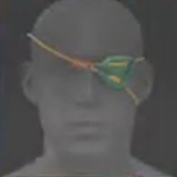 Skull and Bones - Lamenter