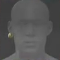 Skull and Bones - Lautan Earring