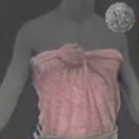 Skull and Bones - Pencuri Garment