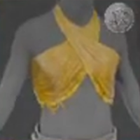 Skull and Bones - Desperado Garment