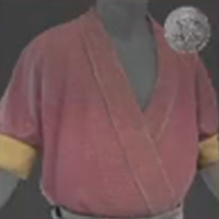 Skull and Bones - Pencuri Top