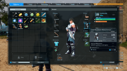 Palworld - Head and Body Armor