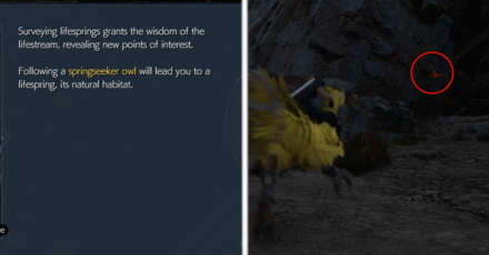 FF7 Rebirth - Follow Springseeker Owls