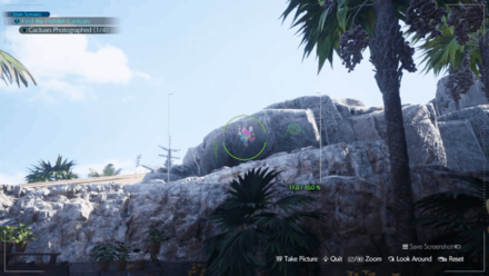 FF7 Rebirth - Cactuar #2 - On the Rock Wall East of the Run Wild Minigame