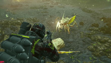 Helldivers 2 - Pouncer