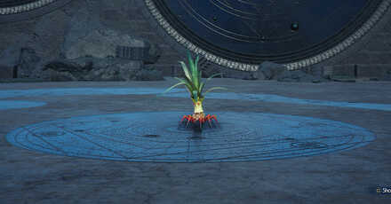 Final Fantasy 7 Rebirth - Mandragora