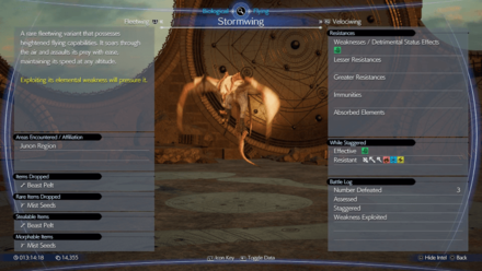 Final Fantasy 7 Rebirth - Stormwing