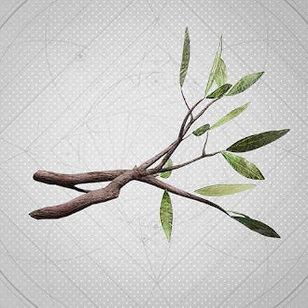 Divine Heartwood Icon