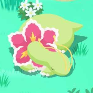 Pokemon Sleep - Peaceful Sleep